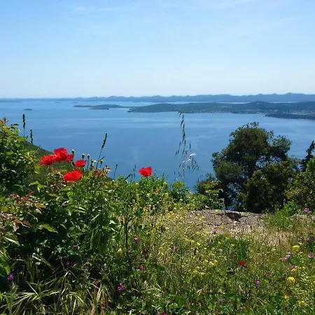 Summer Bliss Apartament