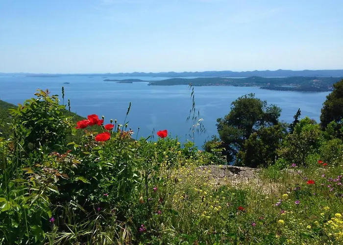 Summer Bliss Apartman