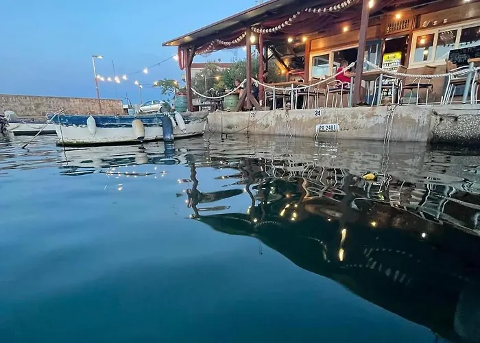 Summer Bliss بريكو